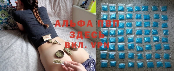 дмт Алексин