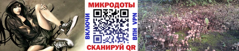 Галлюциногенные грибы Cubensis  блэк спрут зеркало  Жуковский 